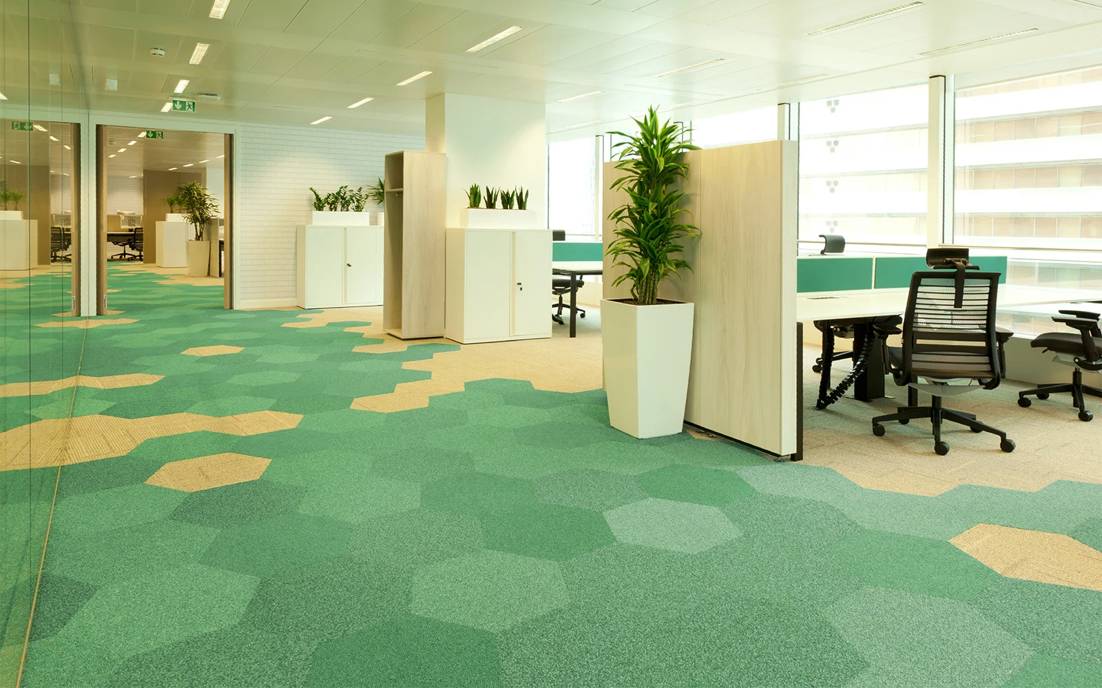 Carpets Installation for home and office
