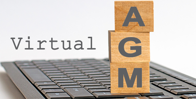 How Do You Present Information in Your Virtual AGM Infographic? - DailyMagazinesPro
