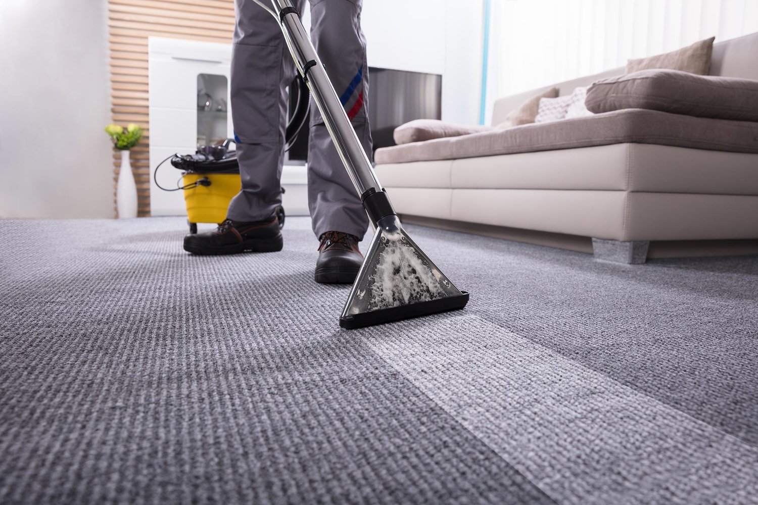 Carpet cleaning services in Martinez
