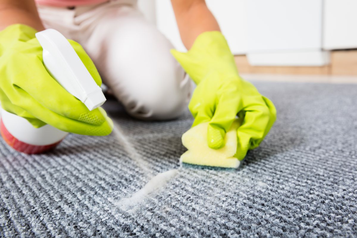 5 Types of Carpet Stains & How to Remove Them